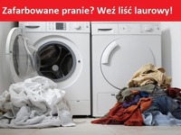 Zafarbowane pranie? Weź liść laurowy!