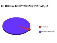 Co robisz kiedy WIDZISZ PAJĄKA?! Na pewno większość z was tak robi :D