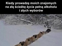 A oni tego jeszcze nie wiedzą