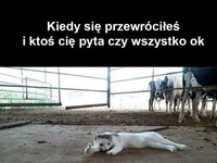 Kiedy się przewróciłeś