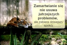 Zamartwianie się