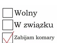 Zabijam komary