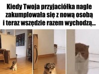 Wcale nie jestem zazdrosna!