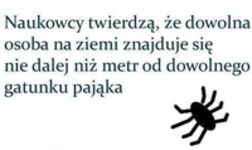 I jak się z tym czujesz? ;)