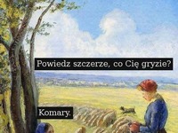 Co ją ugryzło?