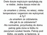 Dwie dusze mężczyzn spotykają się w niebie... DOBRE! ;D