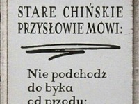 Mądre przysłowie