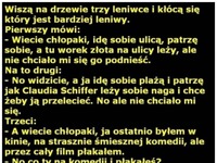 Wiszą na drzewie trzy leniwce i kłócą się który jest bardziej leniwy :D