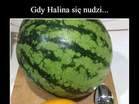 Gdy Halina się nudzi... BEKA!