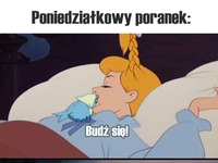 Poniedziałek