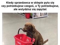 Kiedy sprzedawca w sklepie pyta się...