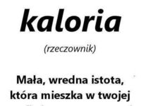 Kaloria