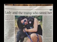 Bezdomny pies ratuje kobietę przed dwoma gwałcicielami!