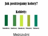 Jak postrzegamy kolory