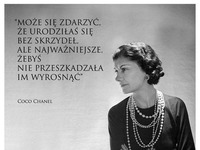 Nie przeszkadzaj im.... ♥