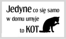 Jedyne co się samo umyje ;)