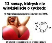 12 faktów o CYCKACH o których nie wiedzieliście! Najlepszy 4. fakt! ;D