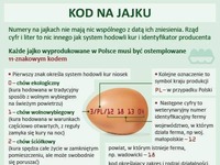 Każde jajko wyprodukowane w Polsce musi być ostemplowane 11-znakowym kodem. ZOBACZ, co on oznacza!