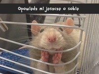 Opowiedz mi jeszcze ;)