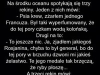 Na środku oceanu spotykają się trzy rekiny... BEKA!