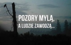 Wszystko zawodzi