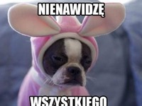 Nienawidzę wszystkiego