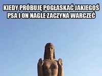 Kiedy próbuję pogłaskać jakiegoś psa