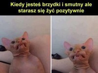 Kiedy jesteś brzydki i smutny