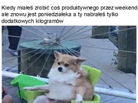 Kiedy miałeś zrobić coś produktywnego przez weekend