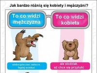 45 RÓŻNIC między kobietami a mężczyznami! Trzecia to 100% prawdy! ;D