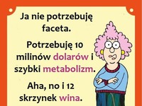 Ja nie potrzebuję faceta!!