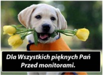 Dla wszystkich Pań! <3