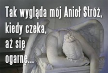 Tak wygląda mój Anioł Stróż