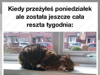 Już prawie koniec poniedziałku...