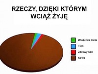 Dzieki czemu wciąż żyje ;)