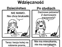 Wdzięczność! dzieciństwo vs po studiach