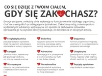 Co się dzieje jak się zakochujemy! NIESAMOWITE!