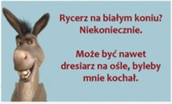 Rycerz na białym koniu