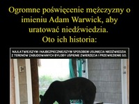Ogromne poświęcenie mężczyzny, aby uratować niedźwiedzia. Oto ich historia...