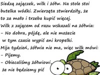 Siedzą zajączek, wilk i żółw przy butelce wódki... ZASKAKUJĄCE zakończenie! ;D