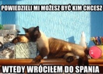 Powiedzieli mi to!