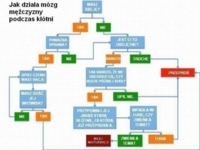 Czym różni się mózg kobiety od mężczyzny podczas kłótni? :D