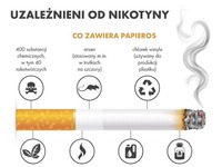 Jakie substancje zawiera papieros i na jakie choroby wpływa? Te informacje znajdziesz tutaj!