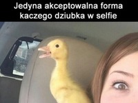 Kaczy dziubek ;D