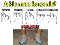 Polskie korzenie