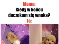 Tak, jak chciałaś.