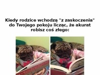 Kiedy rodzice wchodzą Ci do pokoju...