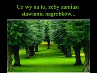 Co o tym myślicie? Zamiast nagrobków, posadźmy drzewa!