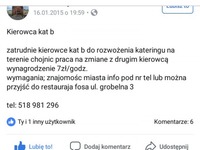 Komentarz genialny! Idealna riposta na taką ofertę pracy