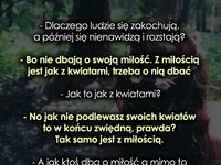 Dlaczego ludzie się zakochują, a później...